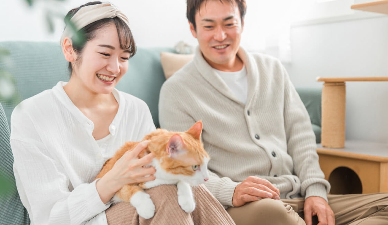 イメージ写真