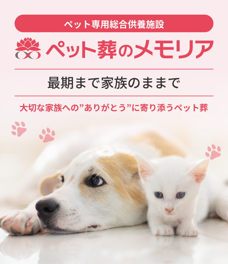ペット装のメモリア