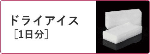 ドライアイス （1日分）