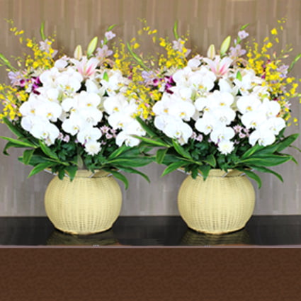 枕花